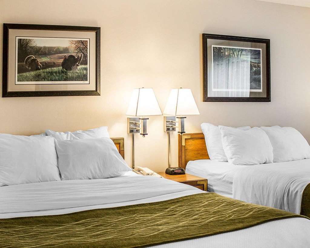 Quality Inn Petoskey-Harbor Springs Pokoj fotografie